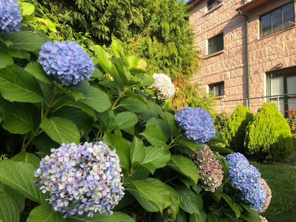ポイオCasa O Muinoアパートメント エクステリア 写真