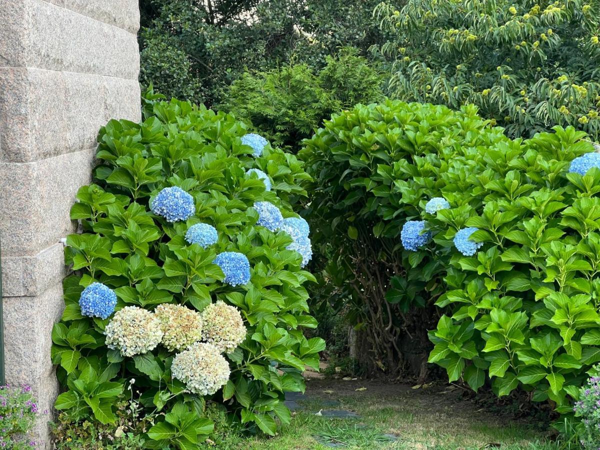 ポイオCasa O Muinoアパートメント エクステリア 写真